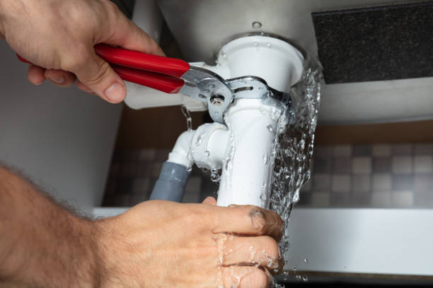 Best Fire Damage Restoration  in Ddanelle, AR