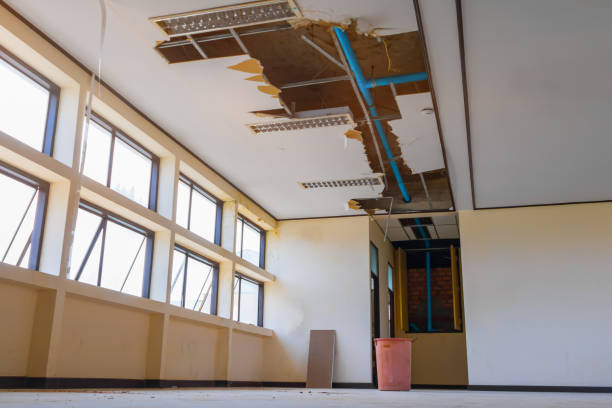 Best Flooded house restoration  in Ddanelle, AR