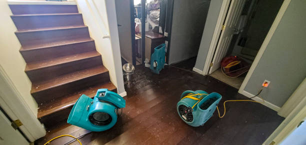 Best Water damage restoration cost  in Ddanelle, AR