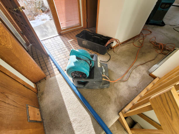 Reliable AR Water damage restoration Solutions