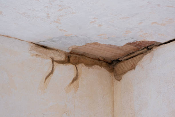 Best 24-hour water damage restoration  in Ddanelle, AR