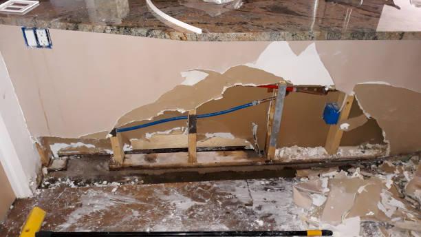 Best Commercial water damage restoration  in Ddanelle, AR