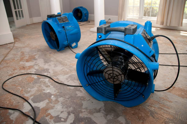 Best Local water damage restoration  in Ddanelle, AR