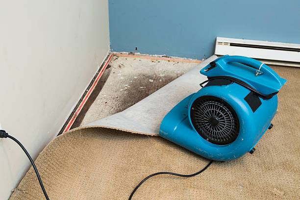 Best Emergency water damage restoration  in Ddanelle, AR